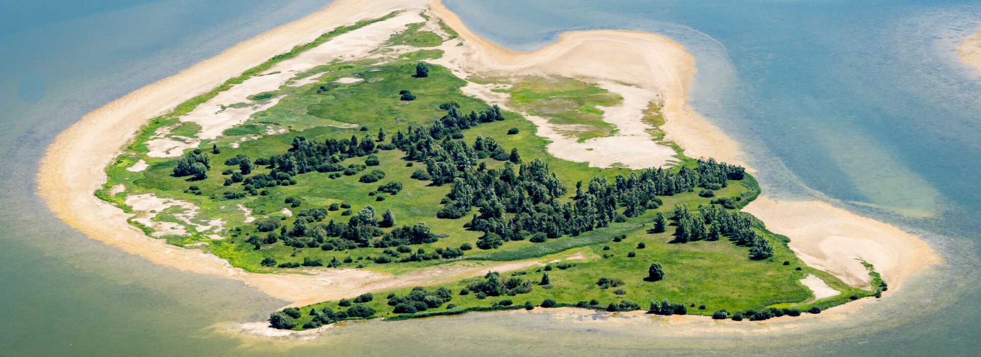 20200623 EP 2020 A7 III 4498