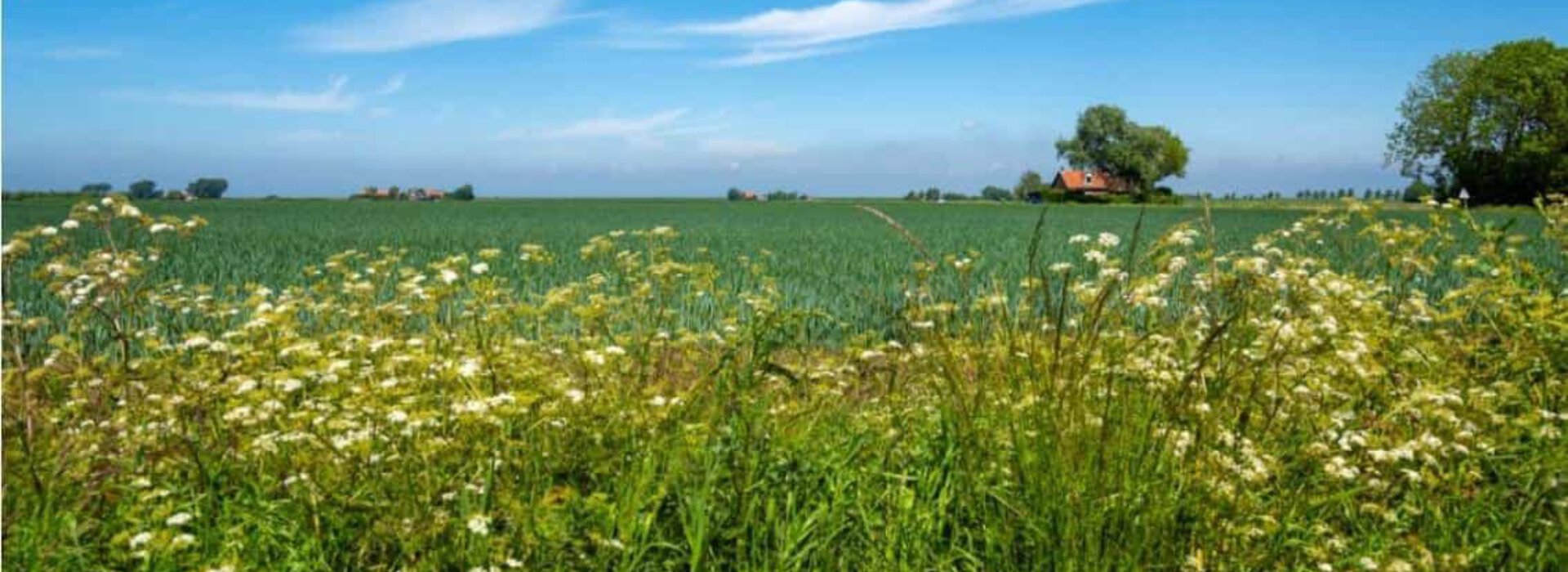 Foto akkers SD 2021 03 22 151418